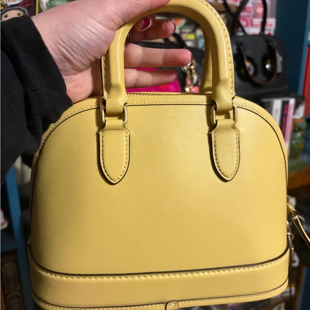 Coach Reveal 24 - Picture 3 of 7